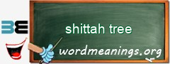 WordMeaning blackboard for shittah tree